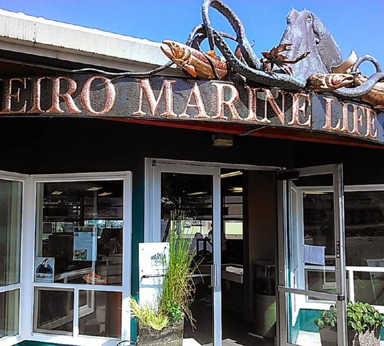 Feiro Marine Life Center (Port&nbspAngeles,&nbspWA)